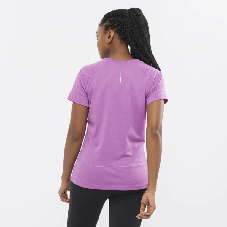 Camiseta Salomon Cross Run Curta Sleeve Feminino Lavanda | PT B74250